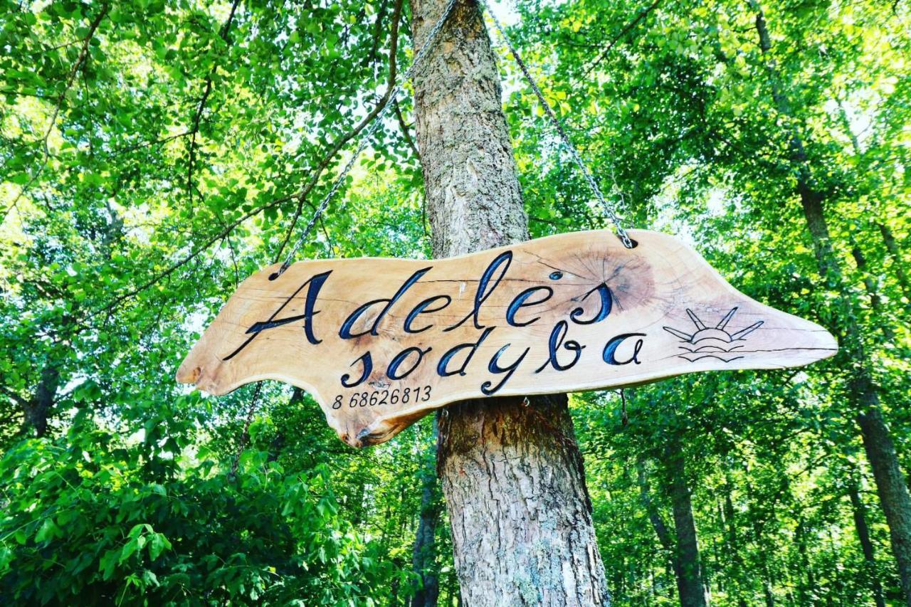 Namelis Nr 2 Adeles Sodyba Muize Екстериор снимка