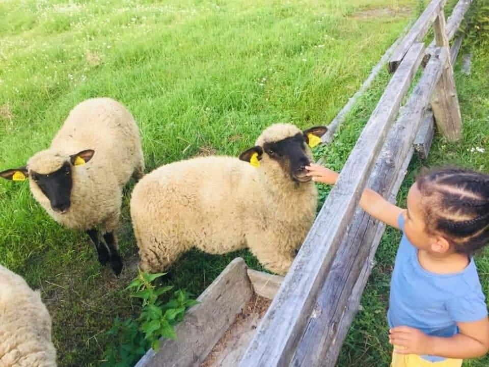 Namelis Nr 2 Adeles Sodyba Muize Екстериор снимка
